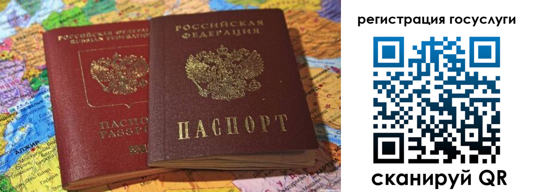 прописка поиск в Ногинске